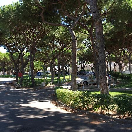 Estudio Tranquilo Praia Da Falesia Albufeira Dış mekan fotoğraf